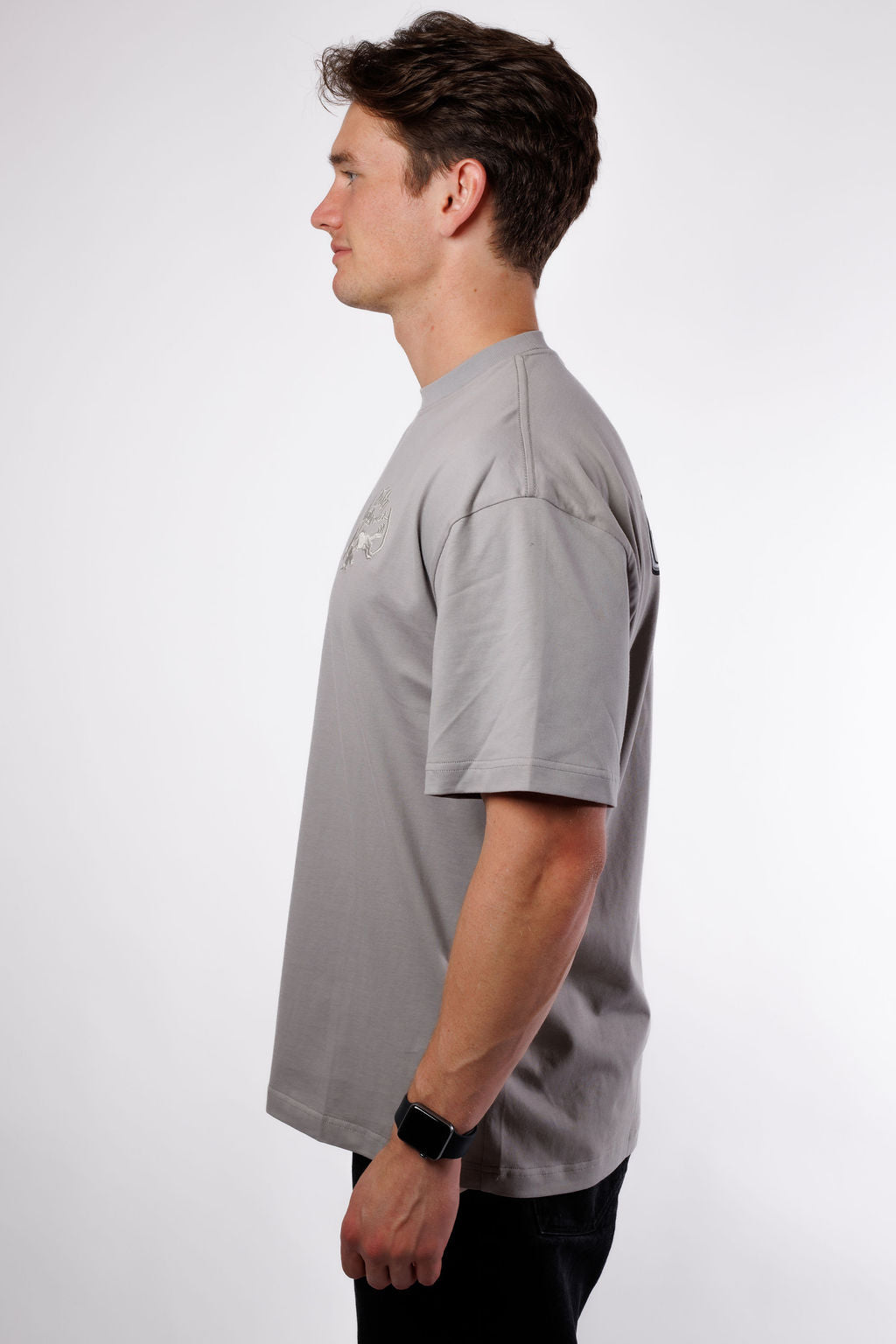 Twin Diplomacy Better Place Tour Tee - Gray