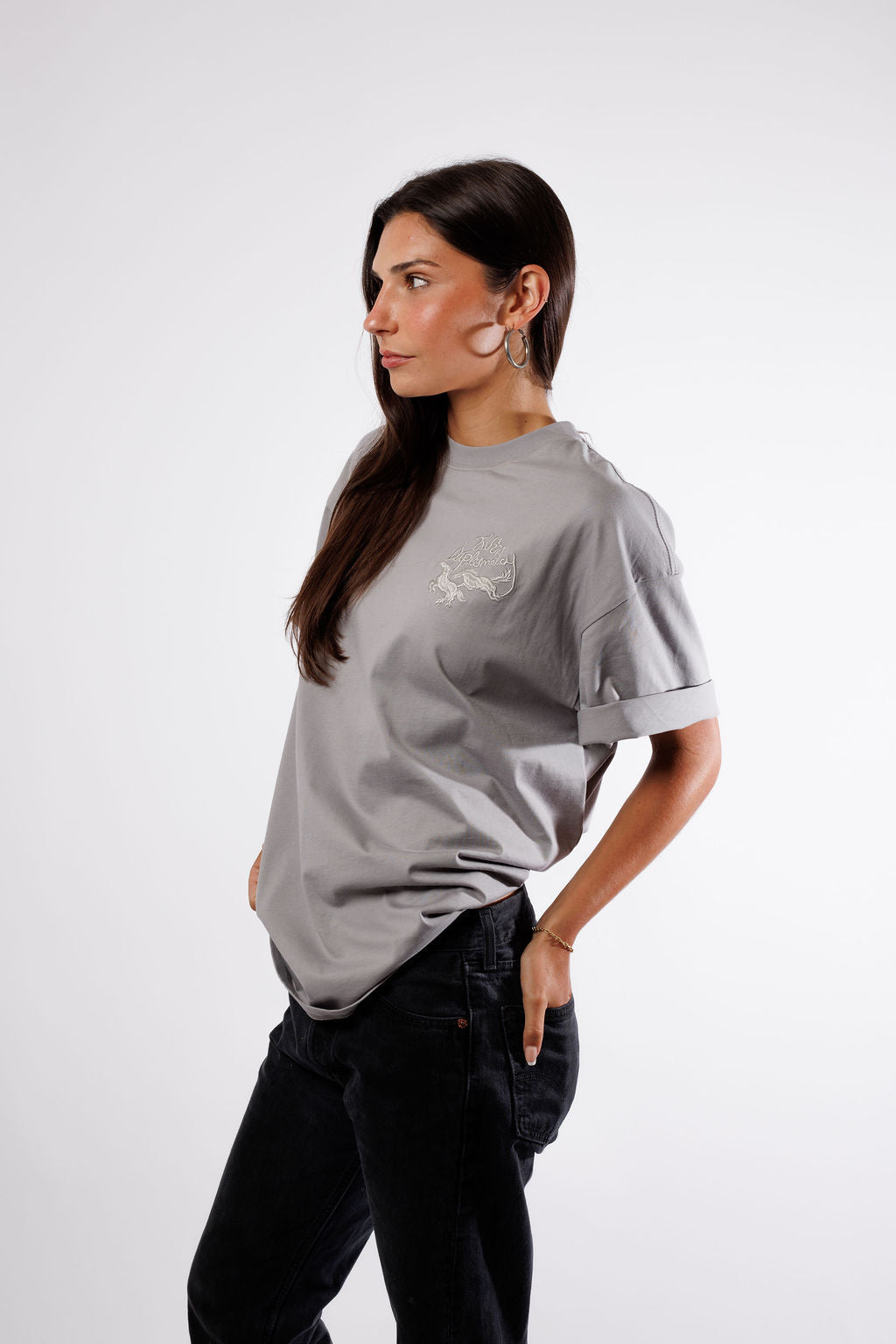 Twin Diplomacy Better Place Tour Tee - Gray