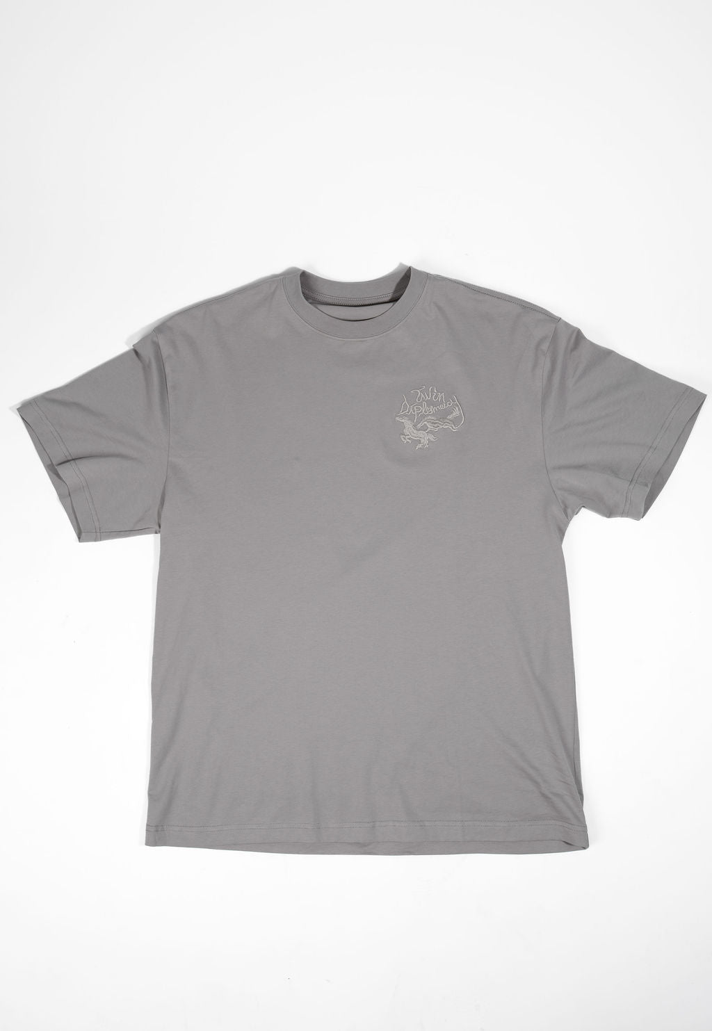 Twin Diplomacy Better Place Tour Tee - Gray