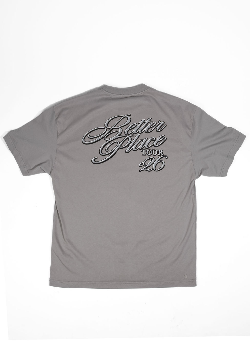 Twin Diplomacy Better Place Tour Tee - Gray